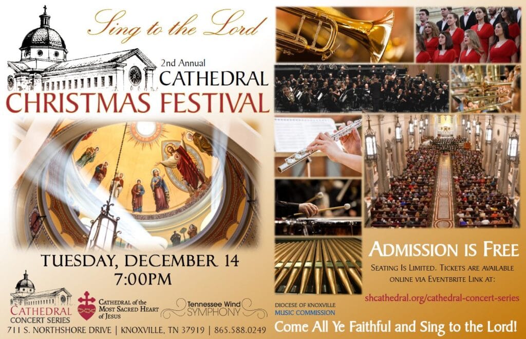 Cathedral Christmas Festival @ Cathedral of the Most Sacred Heart of Jesus